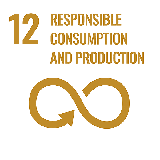 SDG 12 - Responsible consumption and production