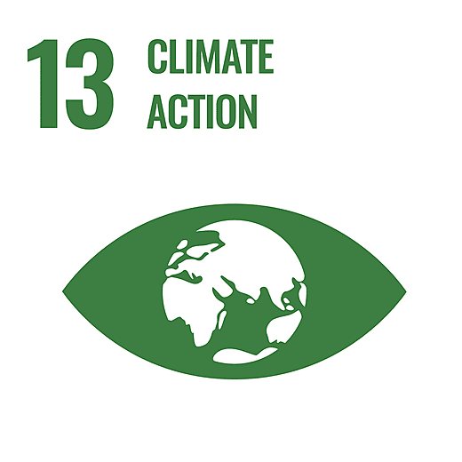 SDG 13 - Climate action